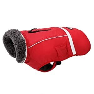 Petneces Dog Winter Coat Thickness Warm Fleece